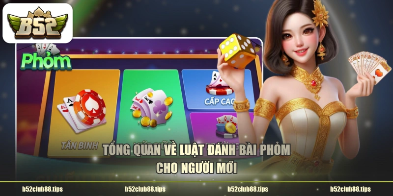 Tổng quan về luật đánh bài Phỏm cho người mới